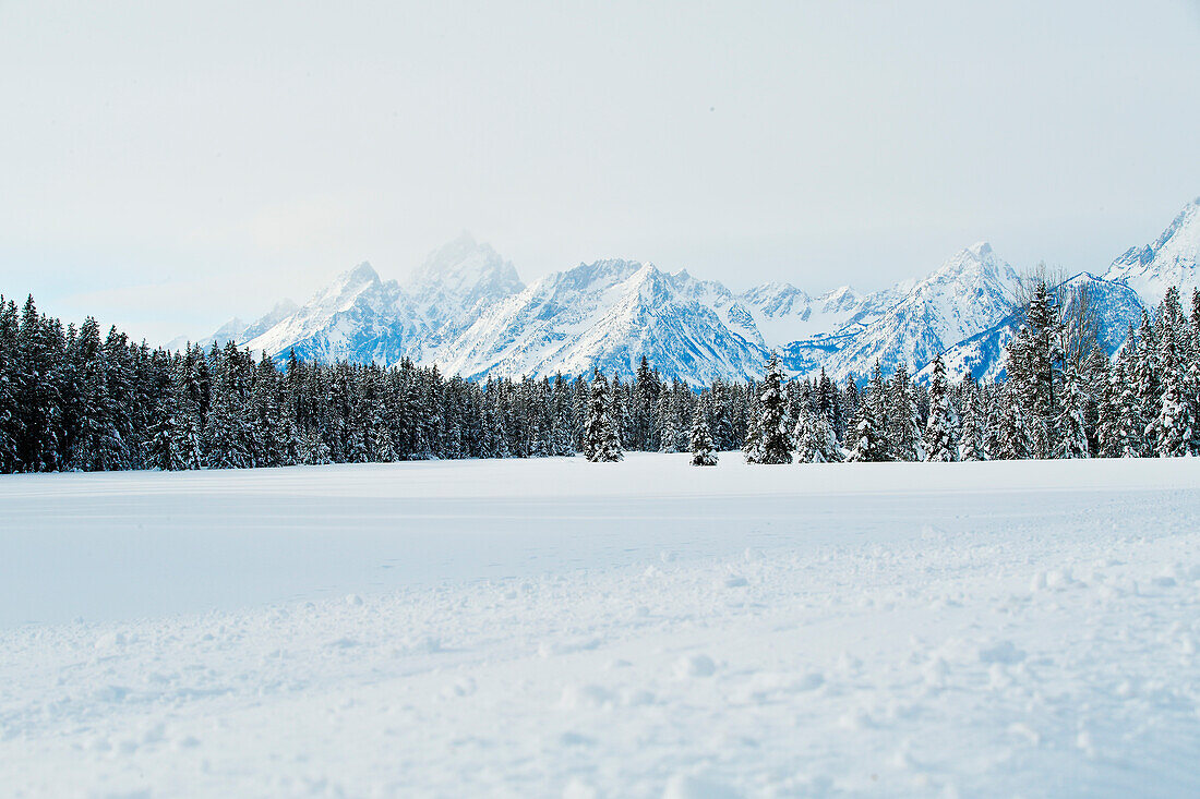 Snow covered view of the Teton Mountain Range, Grand Teton National Park, Wyoming, United States of America, North America