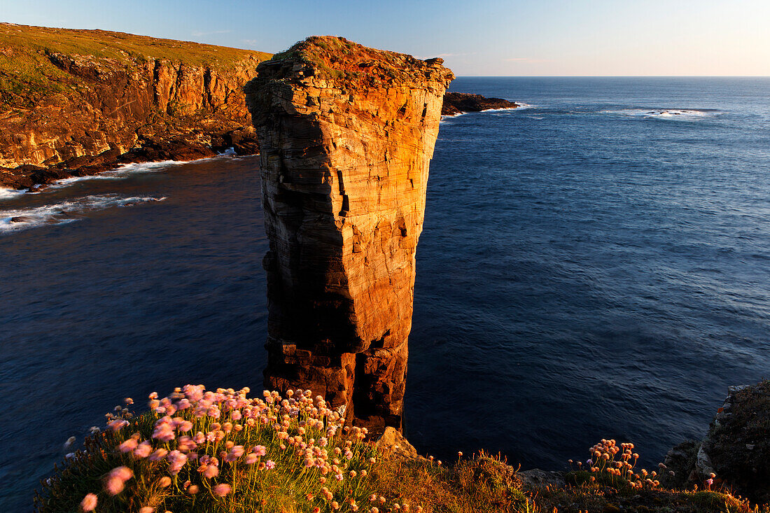 Yesnaby Sea Stack, West Mainland, Orkney Islands, Scotland, United Kingdom, Europe