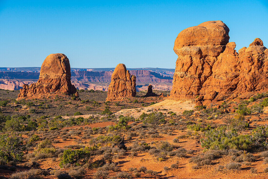 Felsformationen in der Nähe des Turret Arch an einem sonnigen Tag, Arches National Park, Utah, Vereinigte Staaten von Amerika, Nordamerika