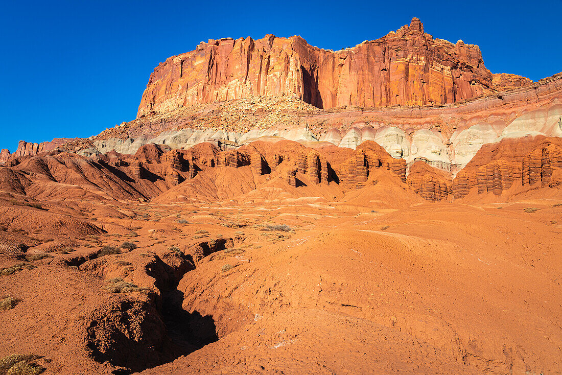 Mumienklippe, Capitol Reef National Park, Utah, Vereinigte Staaten von Amerika, Nordamerika