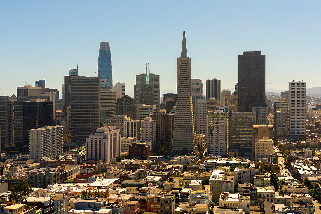 Skyline von San Francisco, dominiert von der Transamerica Pyramid, gesehen vom Coit Tower, San Francisco, Kalifornien, Vereinigte Staaten von Amerika, Nordamerika