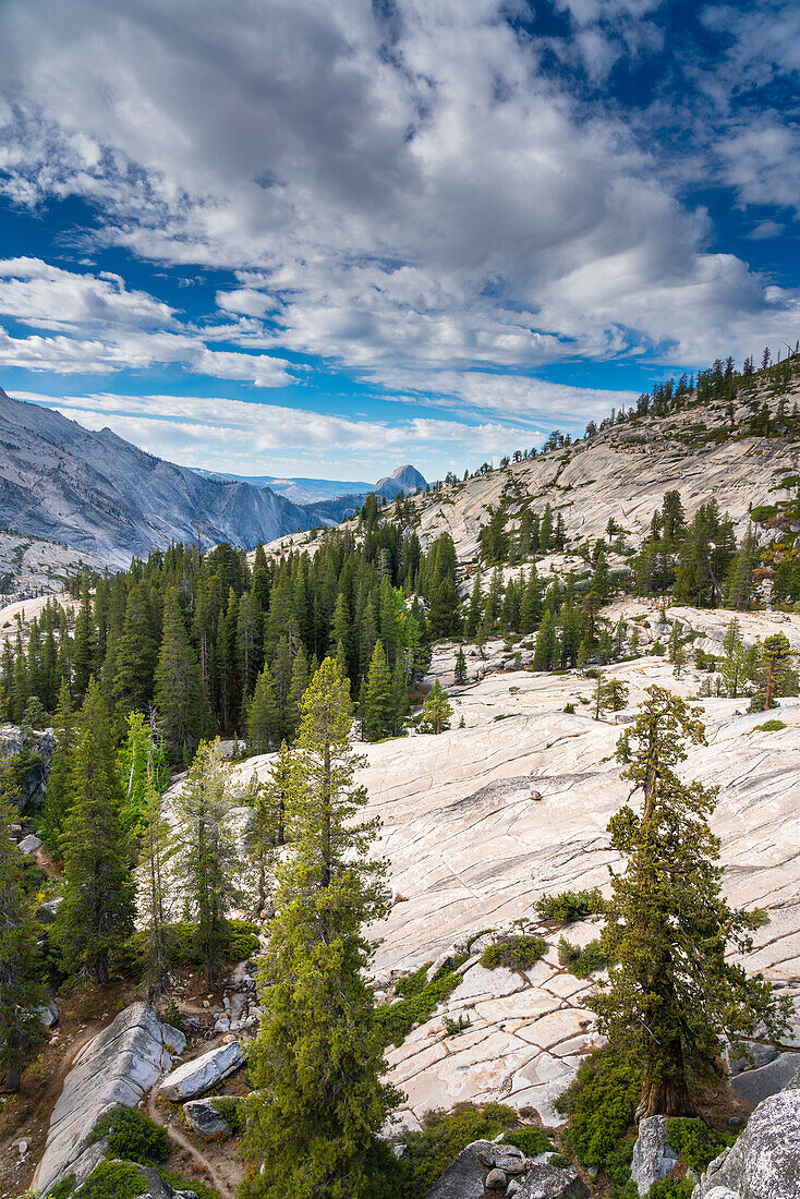 Olmsted Point mit Fernblick auf die Felsformation Half Dome, Yosemite-Nationalpark, UNESCO-Welterbe, Kalifornien, Vereinigte Staaten von Amerika, Nordamerika