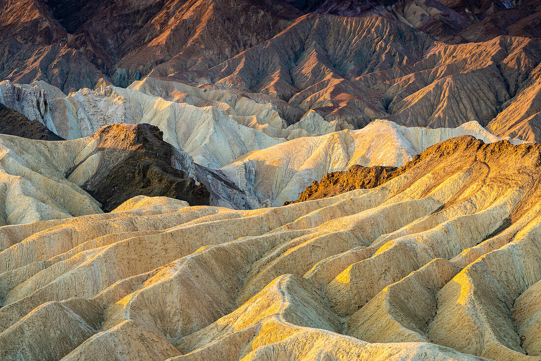 Abstrakte Ganzaufnahme der natürlichen Felsformationen am Zabriskie Point bei Sonnenaufgang, Death Valley National Park, Kalifornien, Vereinigte Staaten von Amerika, Nordamerika