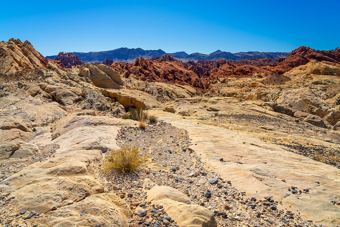 Feuerschlucht und Silica Dome, Valley of Fire State Park, Nevada, Westliche Vereinigte Staaten, Vereinigte Staaten von Amerika, Nordamerika