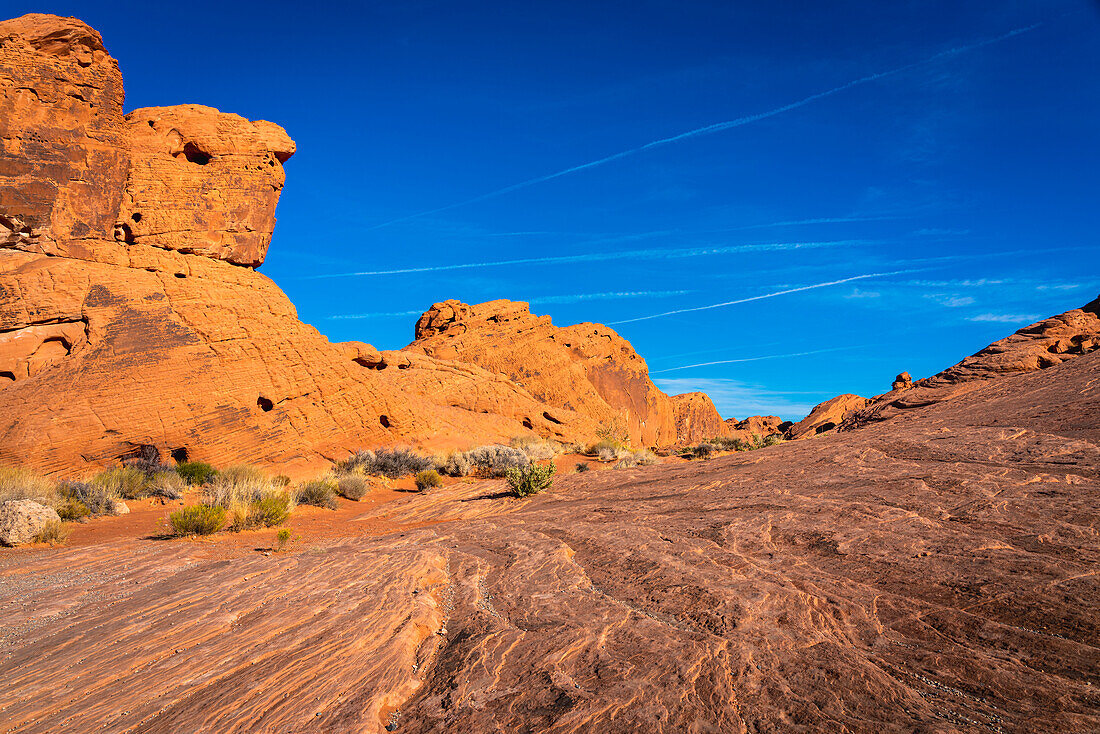 Orange rock formations near Rainbow Vista, Valley of Fire State Park, Nevada, United States of America, North America