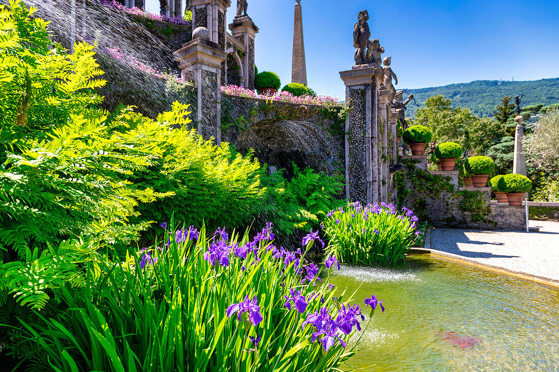 The gardens of Palazzo Borromeo, Isola Bella, Borromean Islands, Lake Maggiore, Stresa, Piedmont, Italian Lakes, Italy, Europe