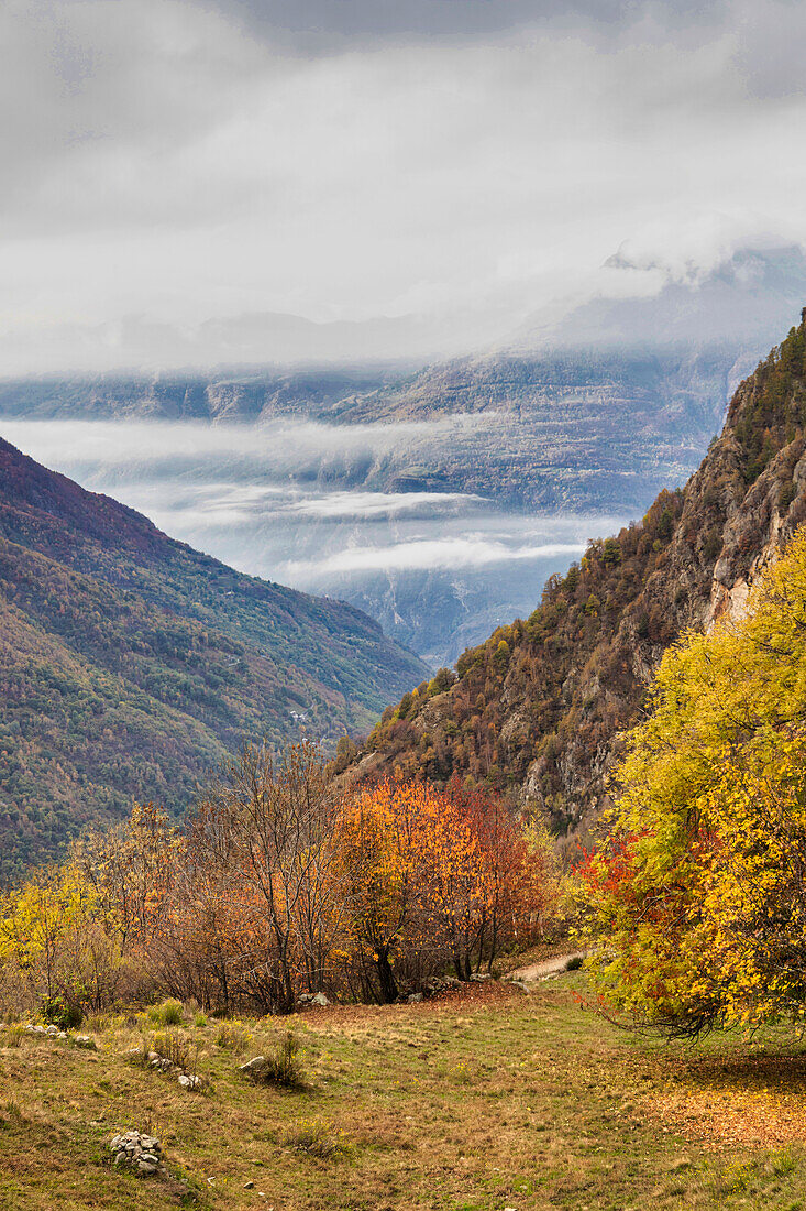 Lys Valley, Gressoney, Aosta Valley, Italy, Europe