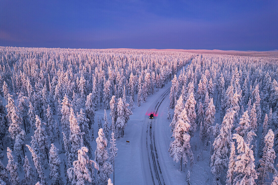 Luftaufnahme eines Autos, das in der Morgendämmerung durch den schneebedeckten Winterwald fährt, Akaslompolo, Kolari, Pallas-Yllastunturi-Nationalpark, Region Lappland, Finnland, Europa