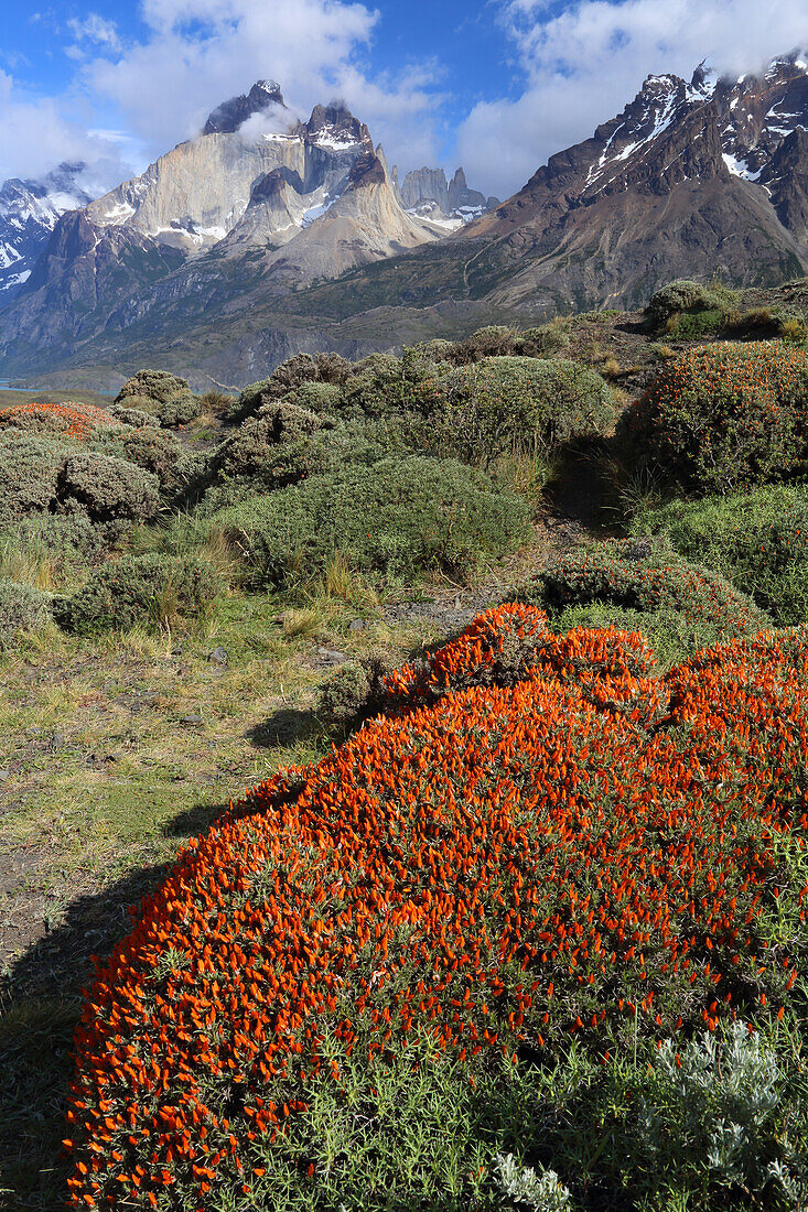 Torres del Paine National Park, Patagonien, Chile, Südamerika