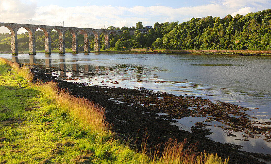 Royal Border Bridge and River Tweed, Berwick-upon-Tweed, Northumberland, England, United Kingdom, Europe