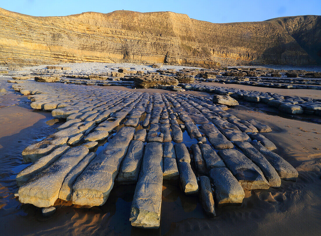 Dunraven Bay (Southerndown Beach), Glamorgan Heritage Coast, Wales, United Kingdom, Europe