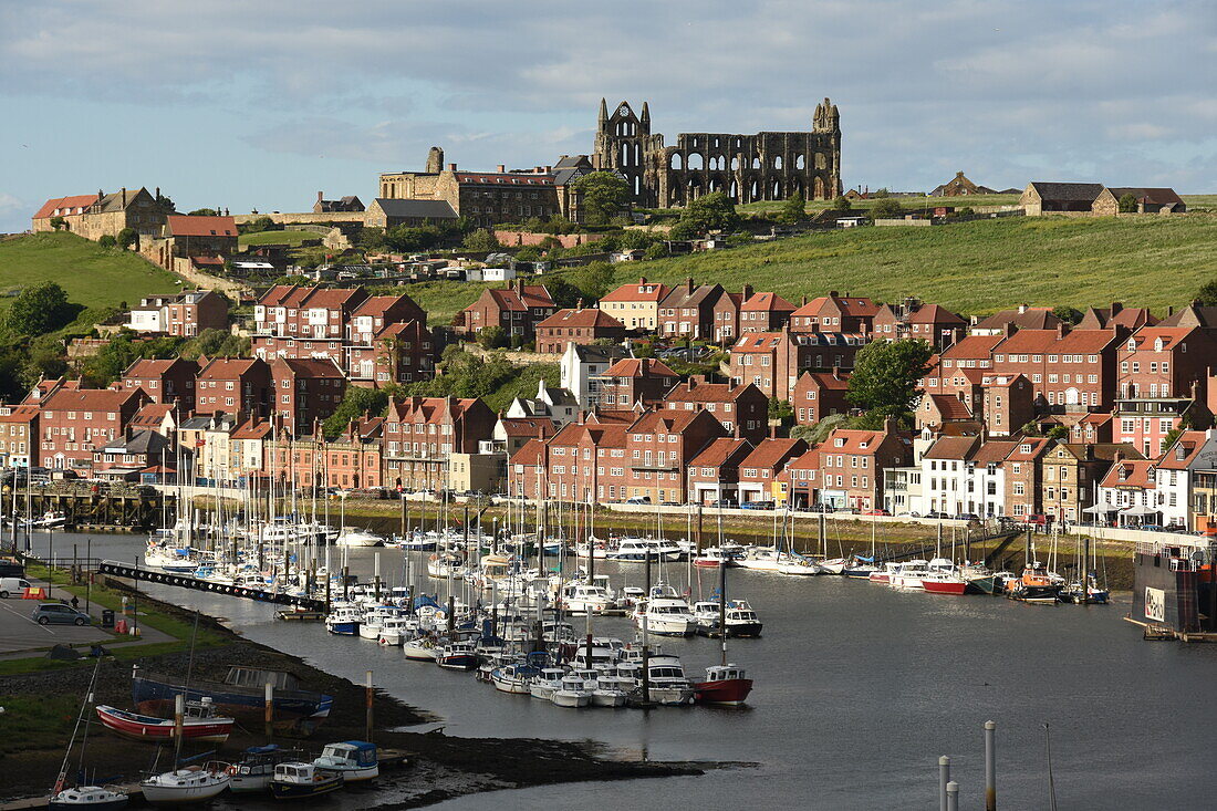 Whitby harbour and abbey ruins, Whitby, Yorkshire, England, United Kingdom, Europe