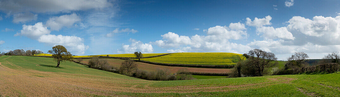 Panoramic landscape, Dart valley, Totnes, Devon, England, United Kingdom, Europe