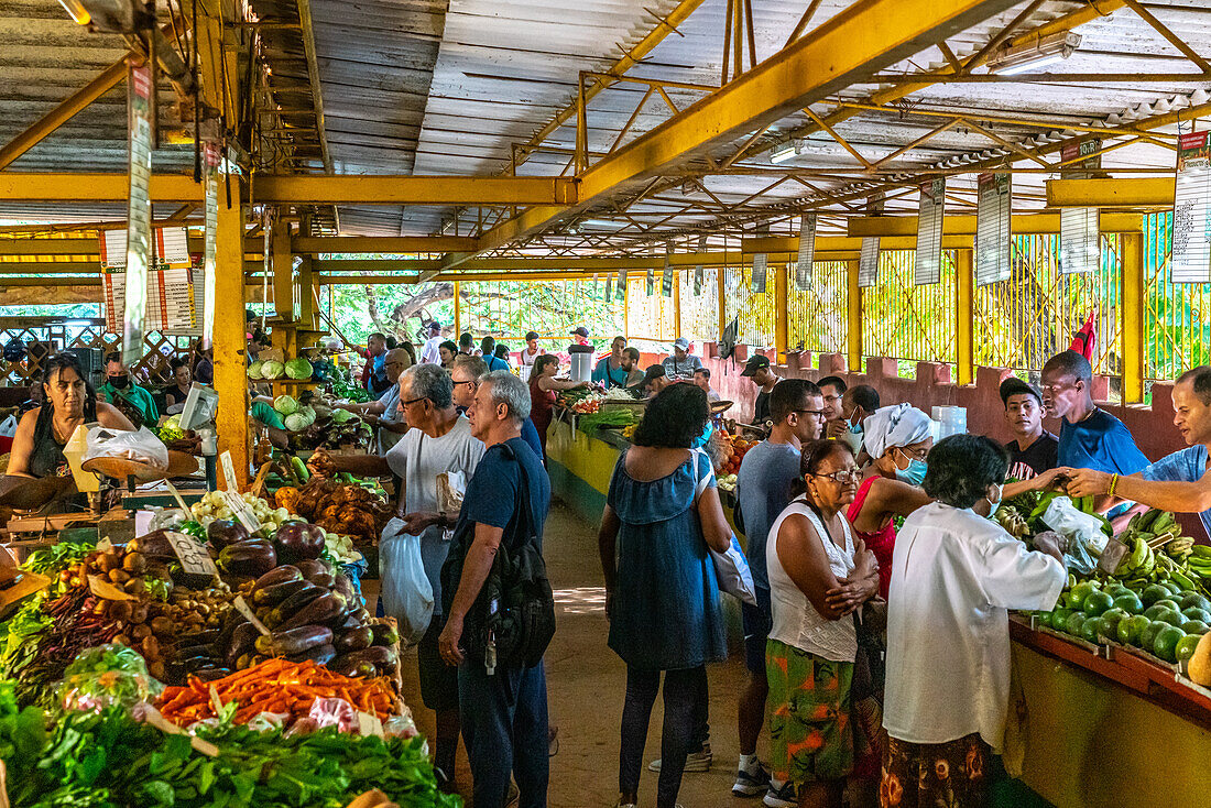 Überdachter Lebensmittelmarkt, Havanna, Kuba, Westindien, Karibik, Mittelamerika