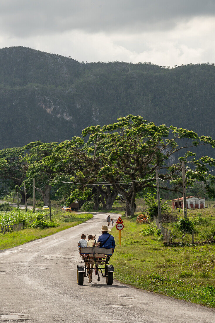 Familie im Pferdewagen, Vinales, Kuba, Westindische Inseln, Karibik, Mittelamerika