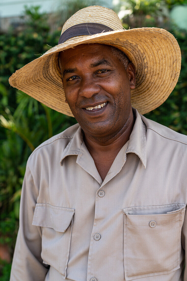 Tabakplantagenarbeiter mit Strohhut, Vinales, Kuba, Westindische Inseln, Karibik, Mittelamerika