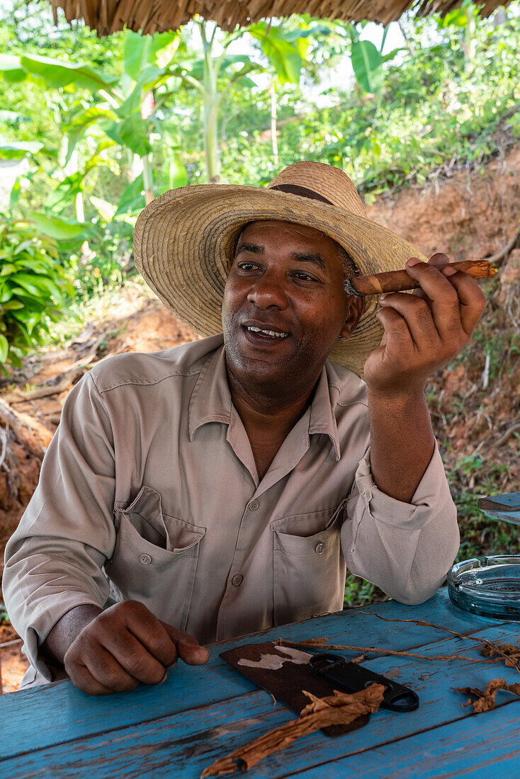 Tabakplantagenarbeiter mit Strohhut, genießt eine Zigarre, die er gerade hergestellt hat, Vinales, Kuba, Westindien, Karibik, Mittelamerika