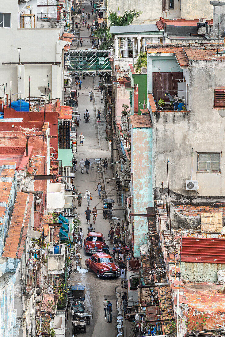 Luftaufnahme der O'Reilly Street mit zwei kastanienbraunen Oldtimern, die sich ihren Weg nach unten bahnen, Alt-Havanna, Kuba, Westindien, Karibik, Mittelamerika