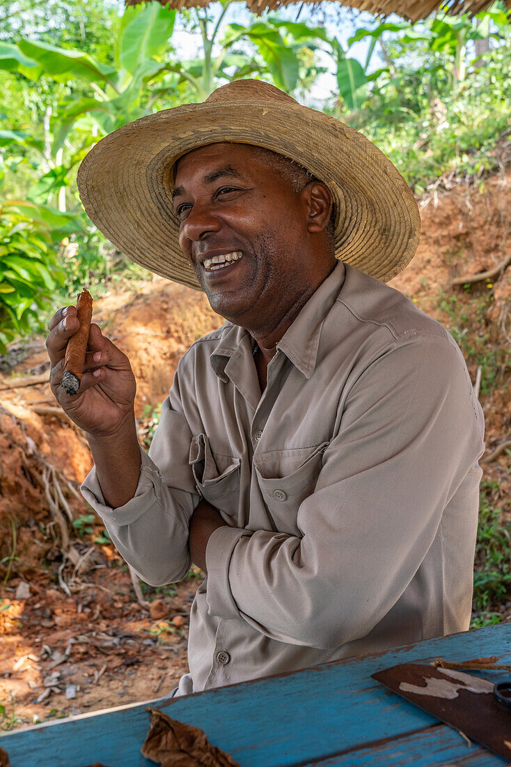 Tobacco plantation worker in straw hat, savouring cigar he just made, Vinales, Cuba, West Indies, Caribbean, Central America