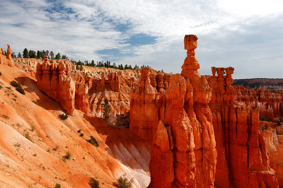 Thor's Hammer, Bryce Canyon, Utah, United States of America, North America