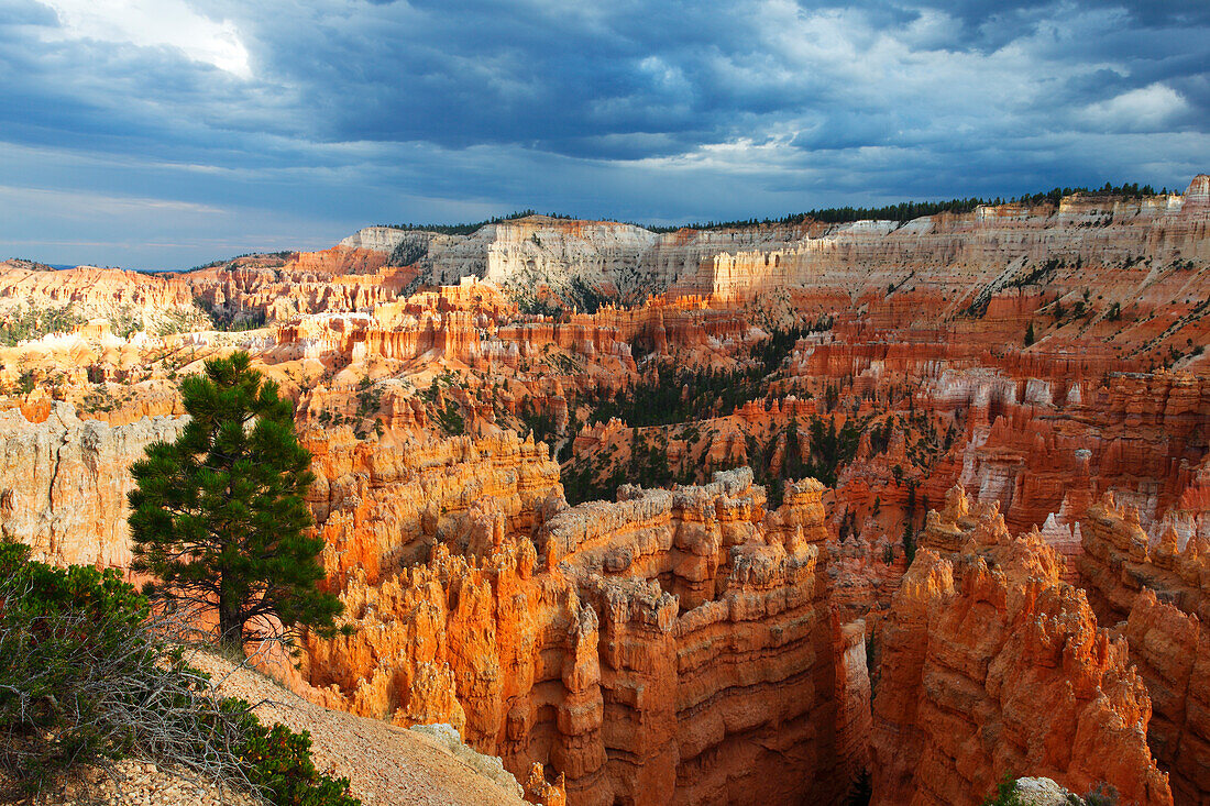 Looking towards Inspiration Point from near Sunrise Point, Bryce Canyon, Utah, United States of America, North America