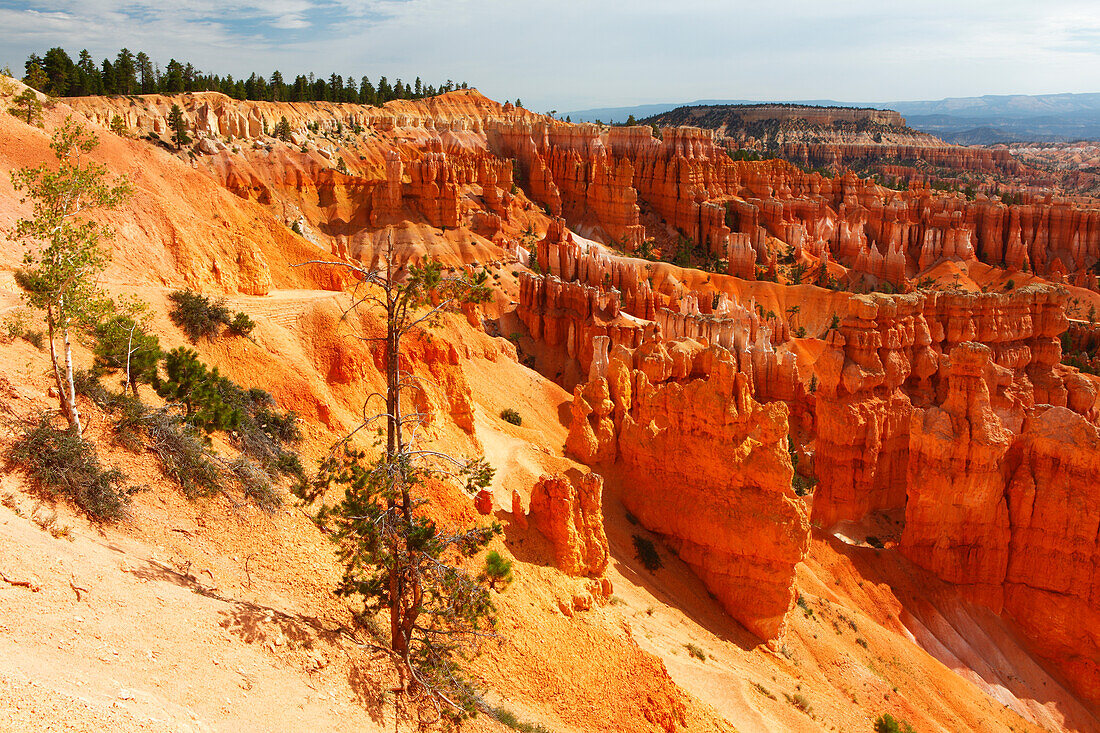 Bryce Canyon from Sunrise Point, Utah, United States of America, North America