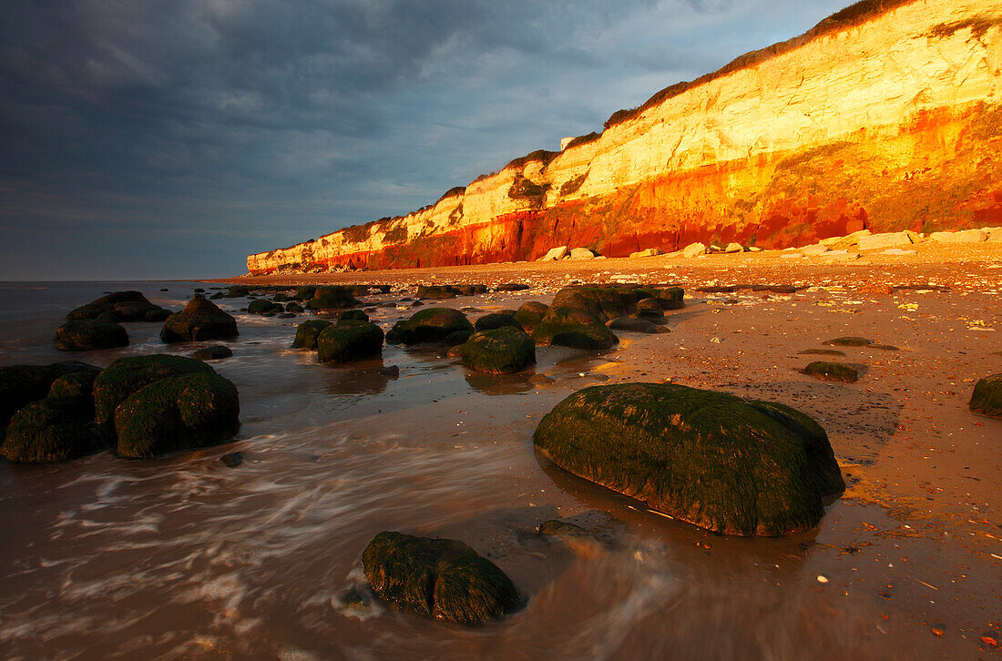 Midsummer evening sunlight on cliffs at Hunstanton, Norfolk, England, United Kingdom, Europe