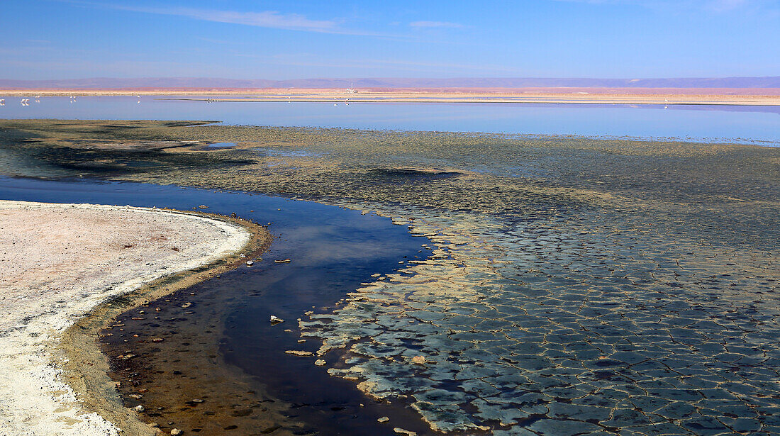 Hochebene der Atacama-Wüste, Chile, Südamerika