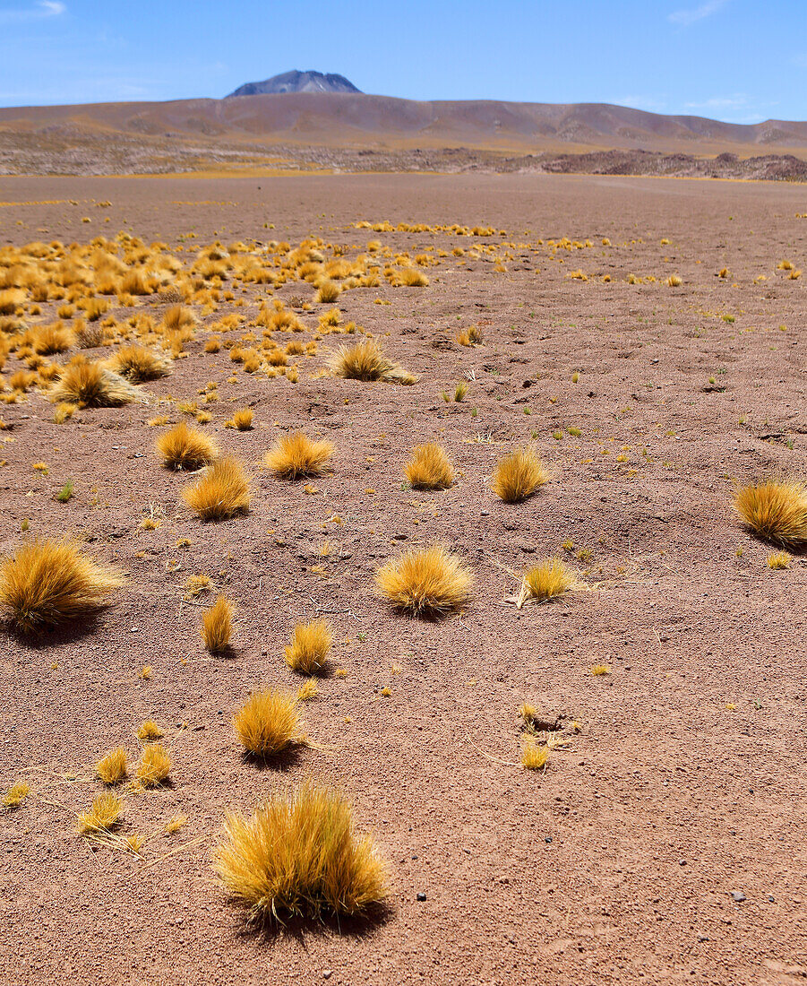 Atacama-Wüstenplateau, Chile, Südamerika