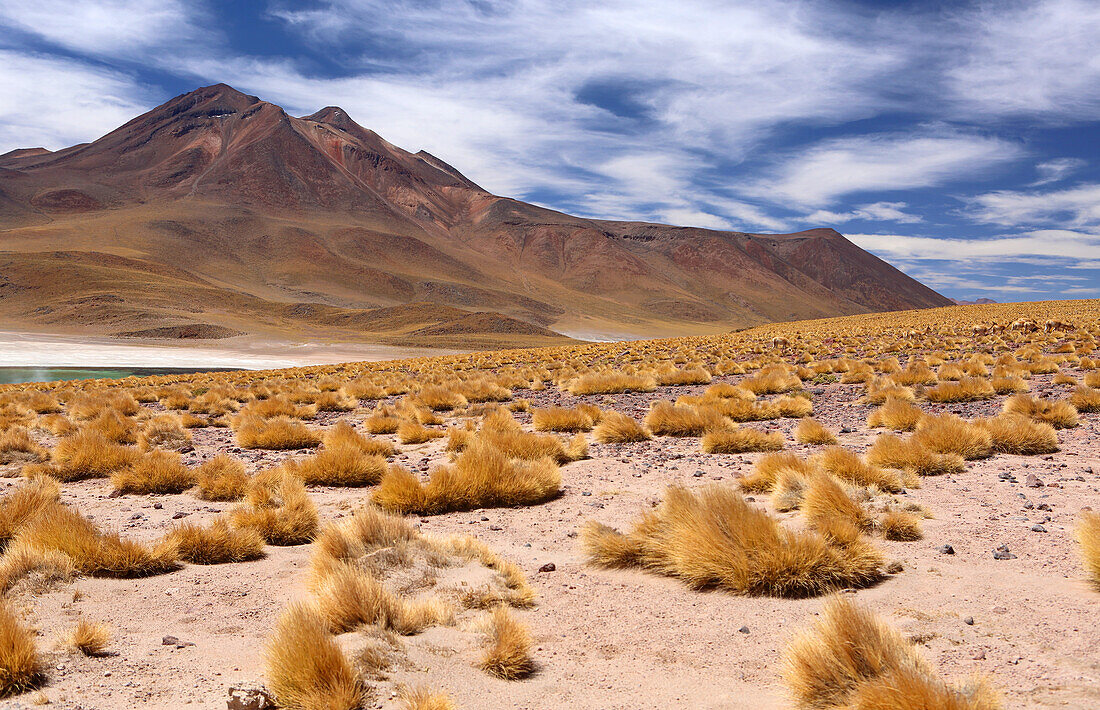 Atacama-Wüstenplateau, Chile, Südamerika