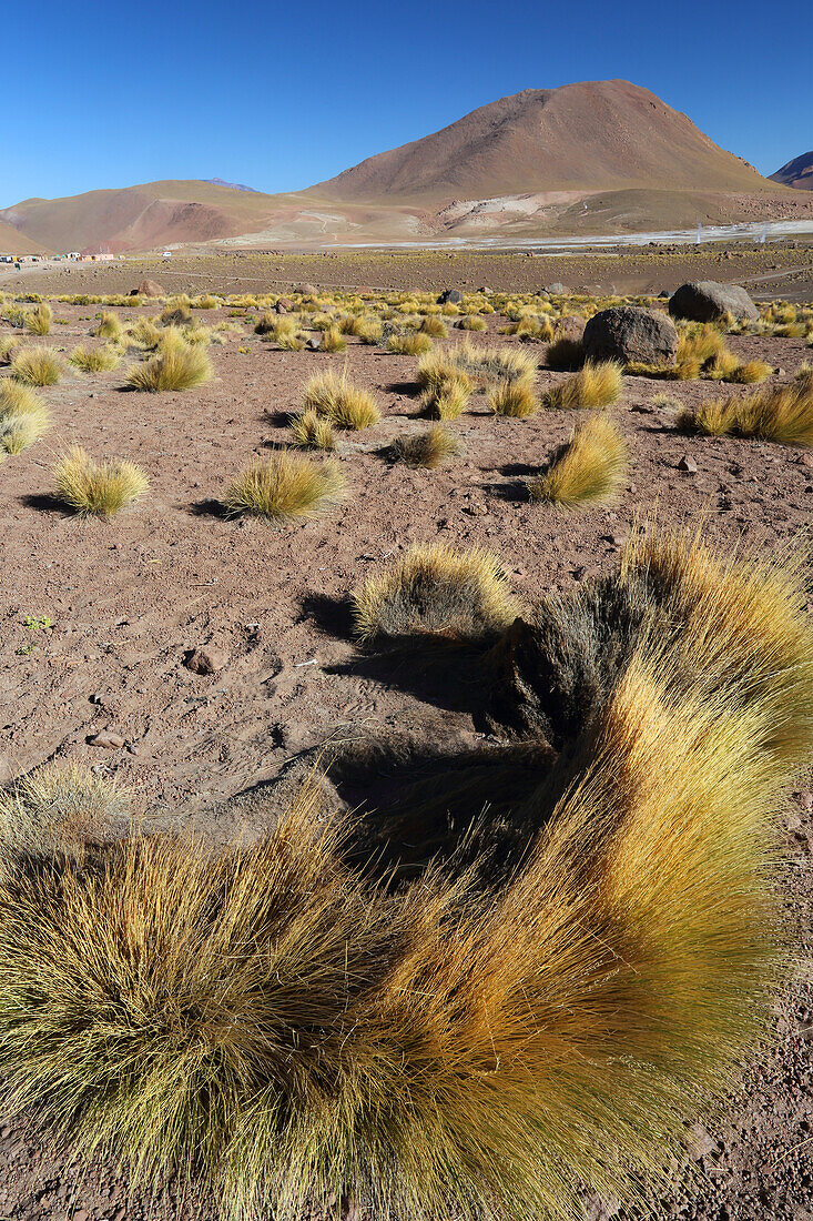 El Tatio Geysirfeld, Atacama-Wüstenplateau, Chile, Südamerika