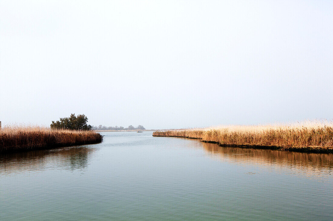 The Po Delta, Emilia-Romagna, Italy, Europe