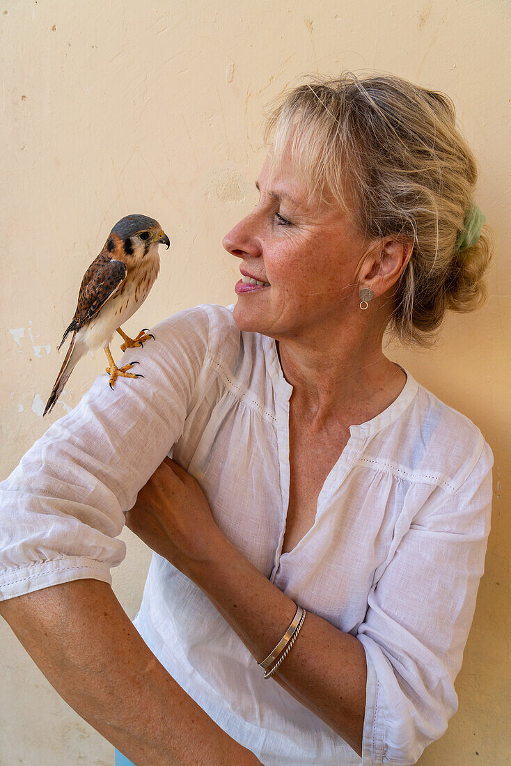 Touristin spielt mit einem kubanischen Turmfalken (Falco kurochkini) auf ihrer Schulter, Valle de los Ingenios, nahe Trinidad, Kuba, Westindien, Karibik, Mittelamerika