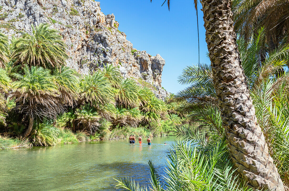 View of River Megalopotamos and Preveli palm forest, Rethymno, Crete, Greek Islands, Greece, Europe
