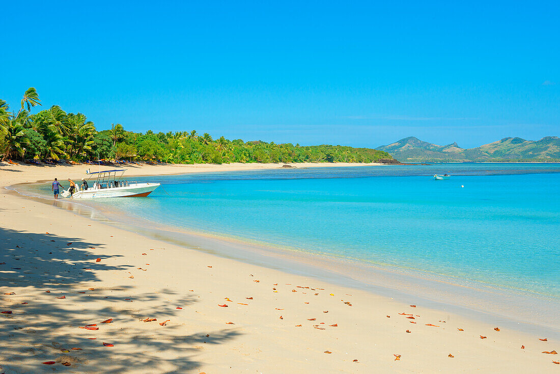 Tropical sandy beach, Nacula island, Yasawa islands, Fiji, South Pacific Islands, Pacific