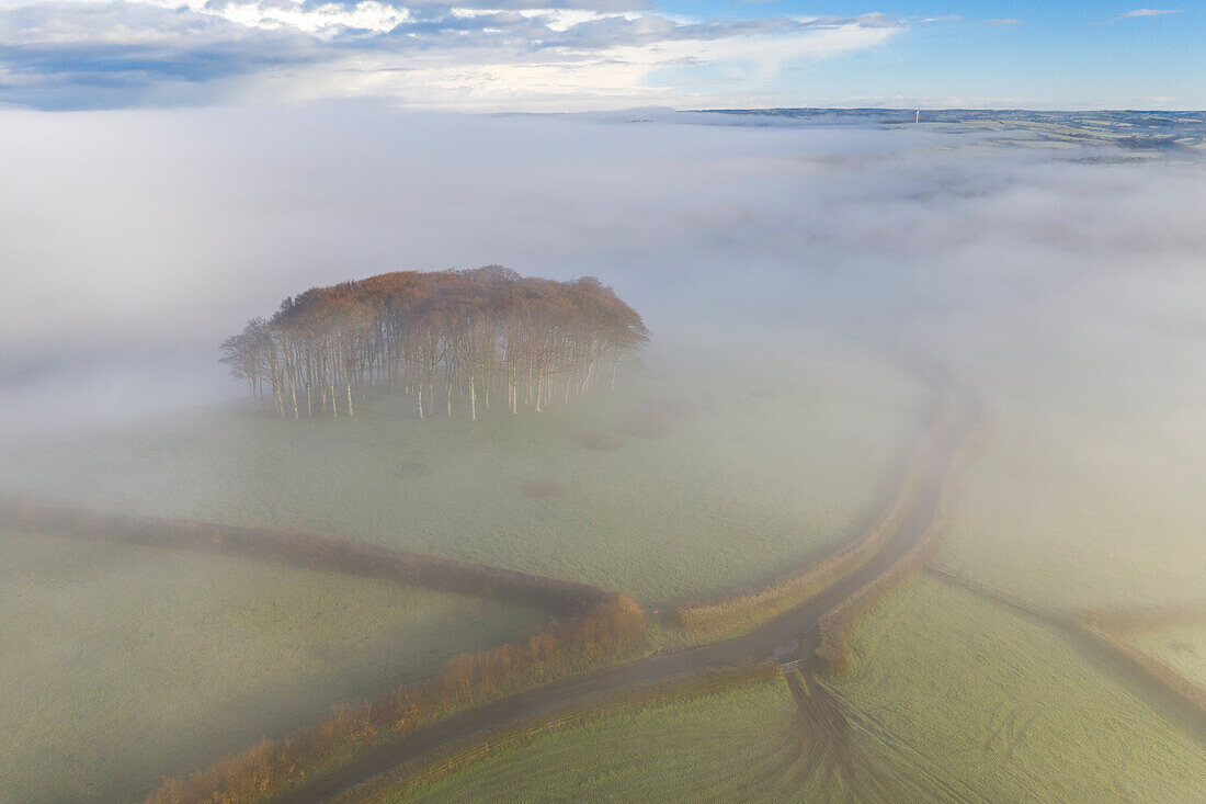 Aerial view of Cookworthy Knapp (The Nearly Home Trees) in winter, near Lifton, Devon, England, United Kingdom, Europe