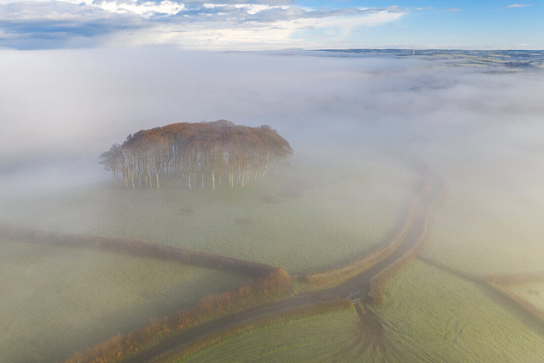 Luftaufnahme von Cookworthy Knapp (The Nearly Home Trees) im Winter, nahe Lifton, Devon, England, Vereinigtes Königreich, Europa