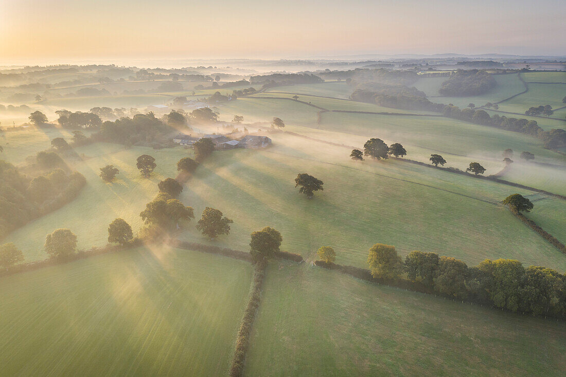 Nebelverhangene Herbstlandschaft in der Morgendämmerung, bei Spreyton, Devon, England, Vereinigtes Königreich, Europa