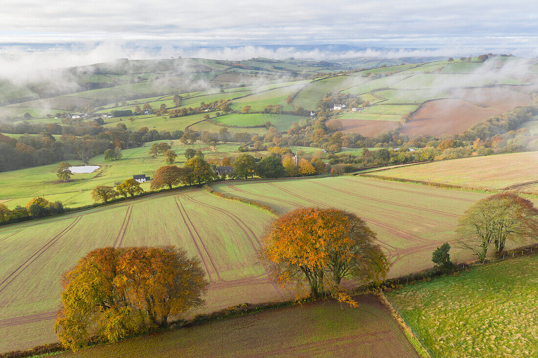 Hügelige Herbstlandschaft von Cadbury Castle, Devon, England, Vereinigtes Königreich, Europa