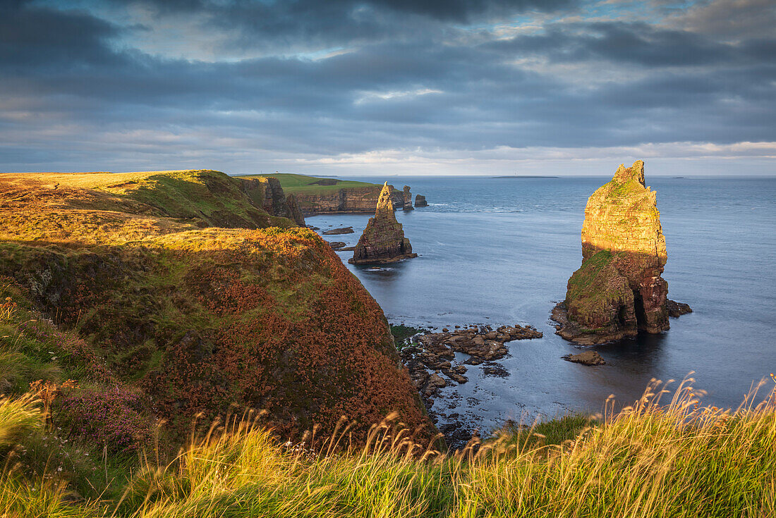 Herrliches Abendsonnenlicht am Duncansby Head im Herbst, in Caithness an der Nordküste Schottlands, Highland, Schottland, Vereinigtes Königreich, Europa