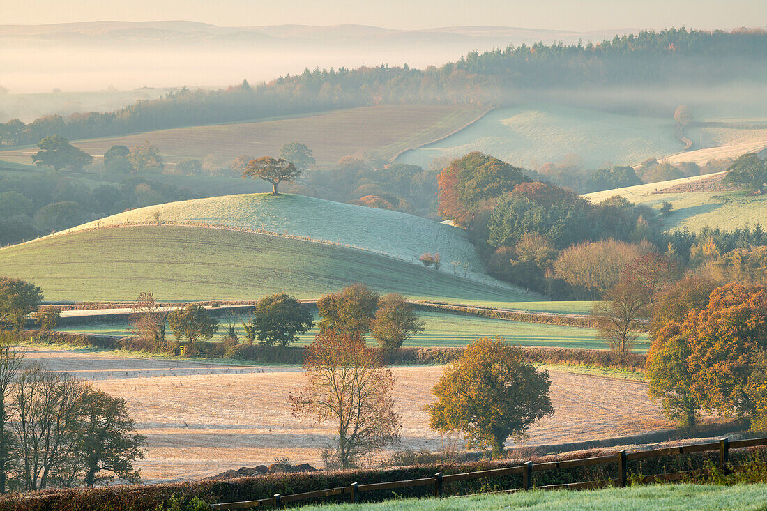 Schöne hügelige Landschaft an einem frostigen Herbstmorgen, Devon, England, Vereinigtes Königreich, Europa