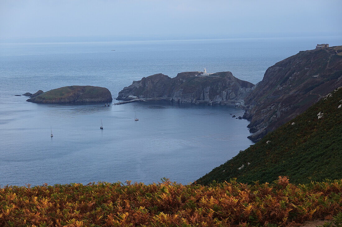 Landing Bay, Lundy Island, Devon, England, Vereinigtes Königreich, Europa