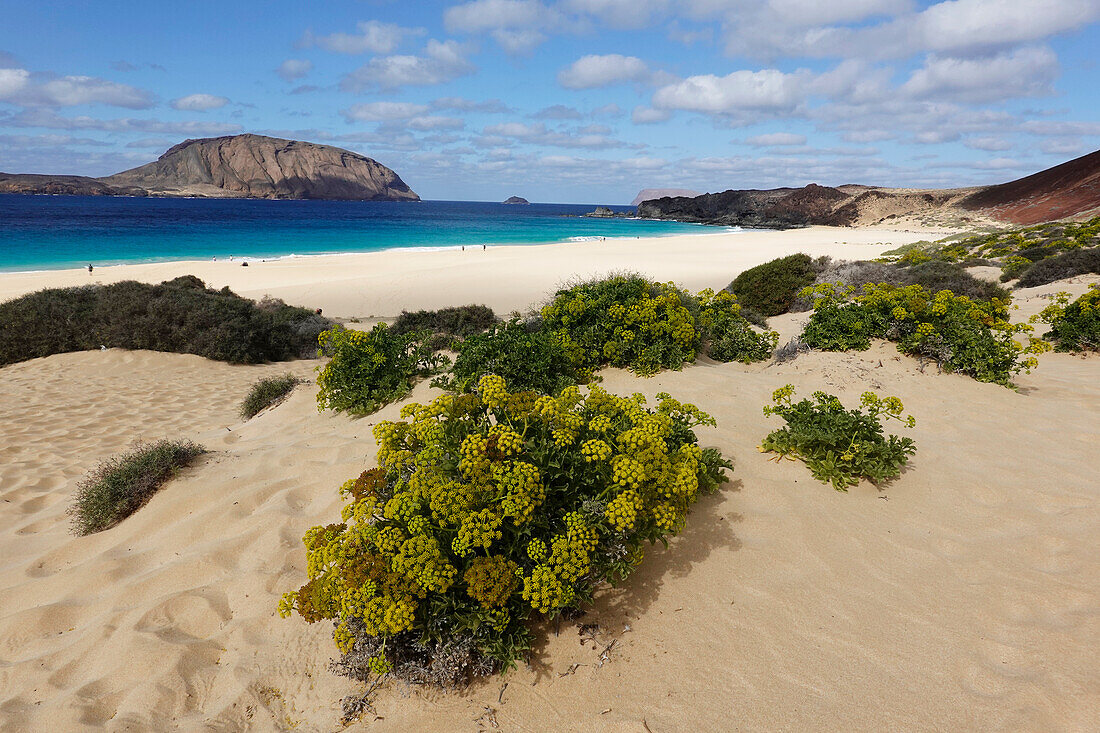 Playa de las Conchas, La Graciosa, Lanzarote, Kanarische Inseln, Spanien, Atlantik, Europa