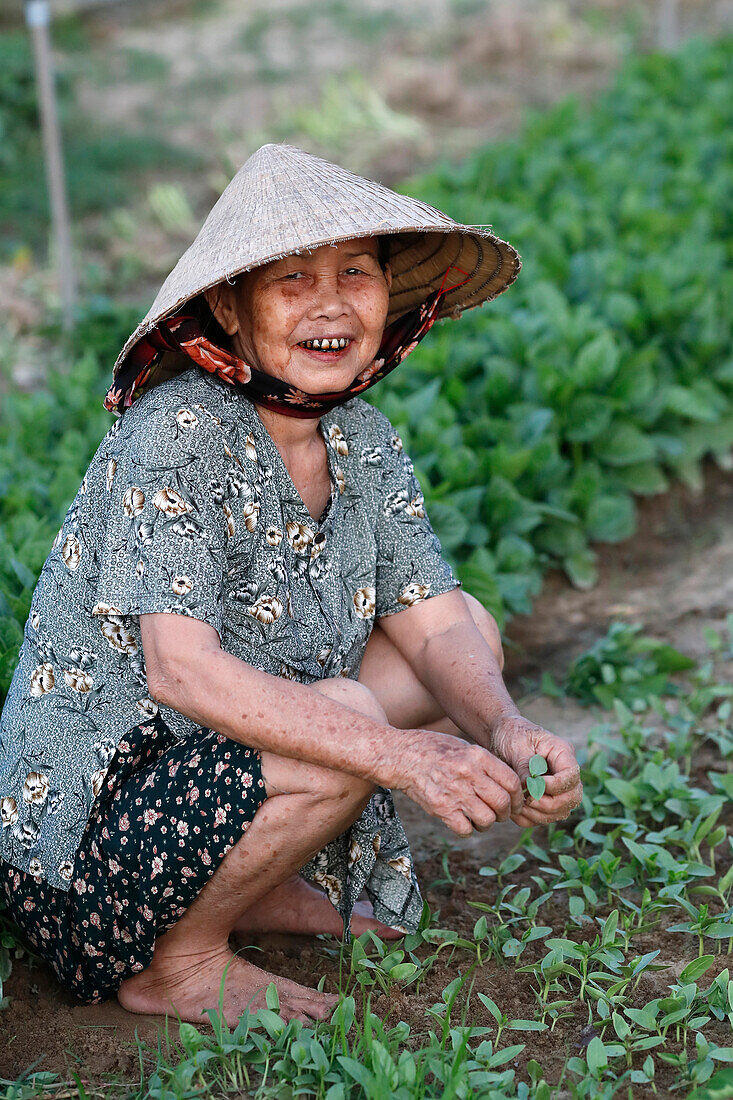 Landwirt bei der Arbeit, Landwirtschaft, organische Gemüsegärten im Dorf Tra Que, Hoi An, Vietnam, Indochina, Südostasien, Asien
