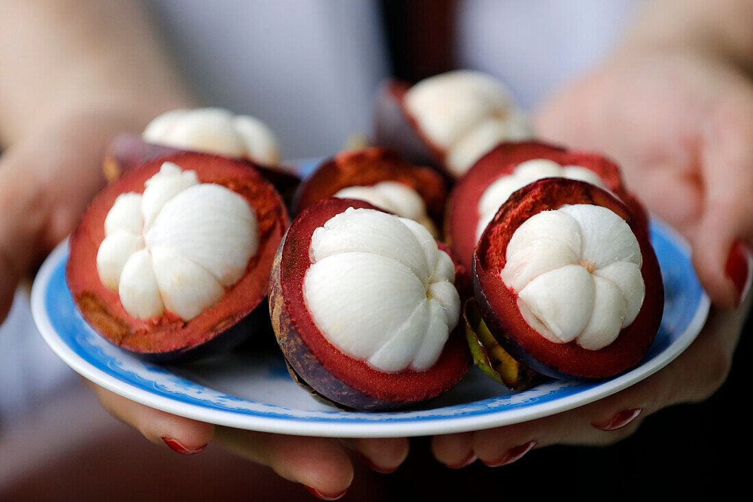 Aufgeschnittene Mangostan-Frucht auf einem Teller, tropische Frucht mit süßen saftigen weißen Segmenten, Vietnam, Indochina, Südostasien, Asien