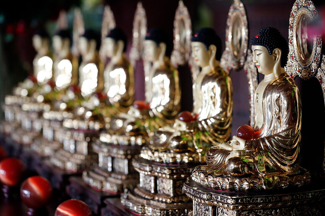 Row of sitting Buddha statues, Linh Ung Buddhist pagoda, Danang, Vietnam, Indochina, Southeast Asia, Asia