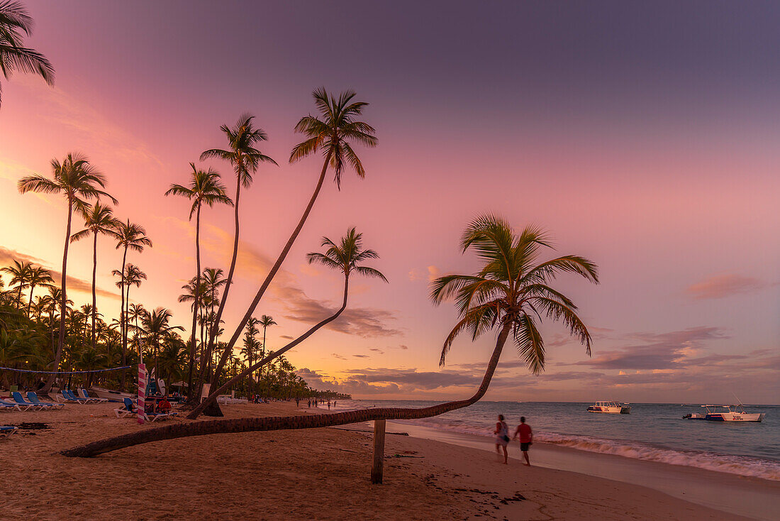 View of palm trees and sea at Bavaro Beach at sunset, Punta Cana, Dominican Republic, West Indies, Caribbean, Central America