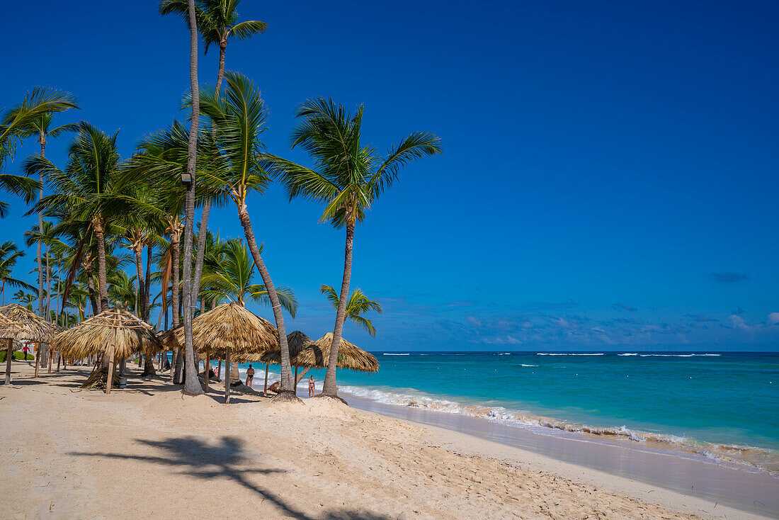 Blick auf Palmen am Bavaro Beach, Punta Cana, Dominikanische Republik, Westindische Inseln, Karibik, Mittelamerika