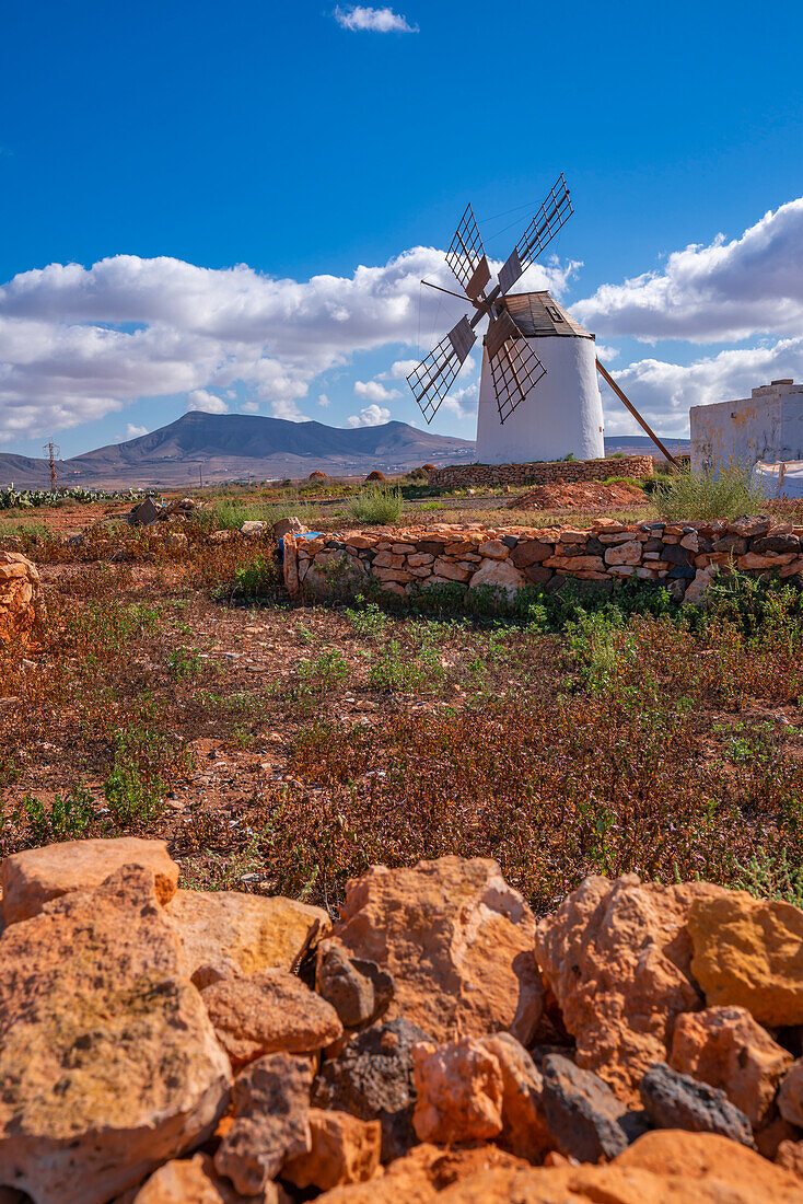 Blick auf Windmühle in dramatischer Landschaft bei La Matilla, Fuerteventura, Kanarische Inseln, Spanien, Atlantik, Europa