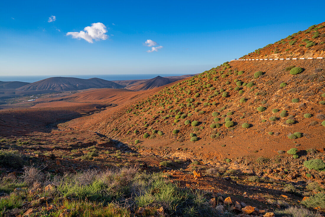 Blick auf die Landschaft vom Aussichtspunkt Mirador de Las Penitas, Betancuria, Fuerteventura, Kanarische Inseln, Spanien, Atlantik, Europa